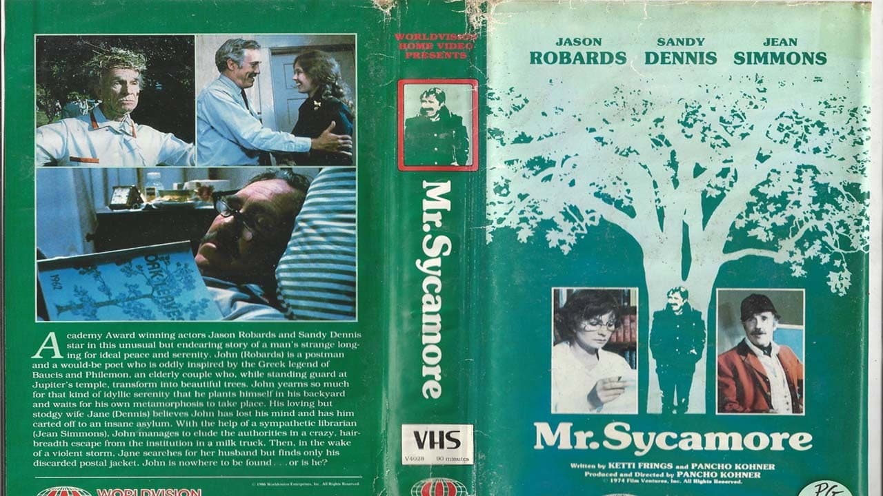 Mr. Sycamore - immagine