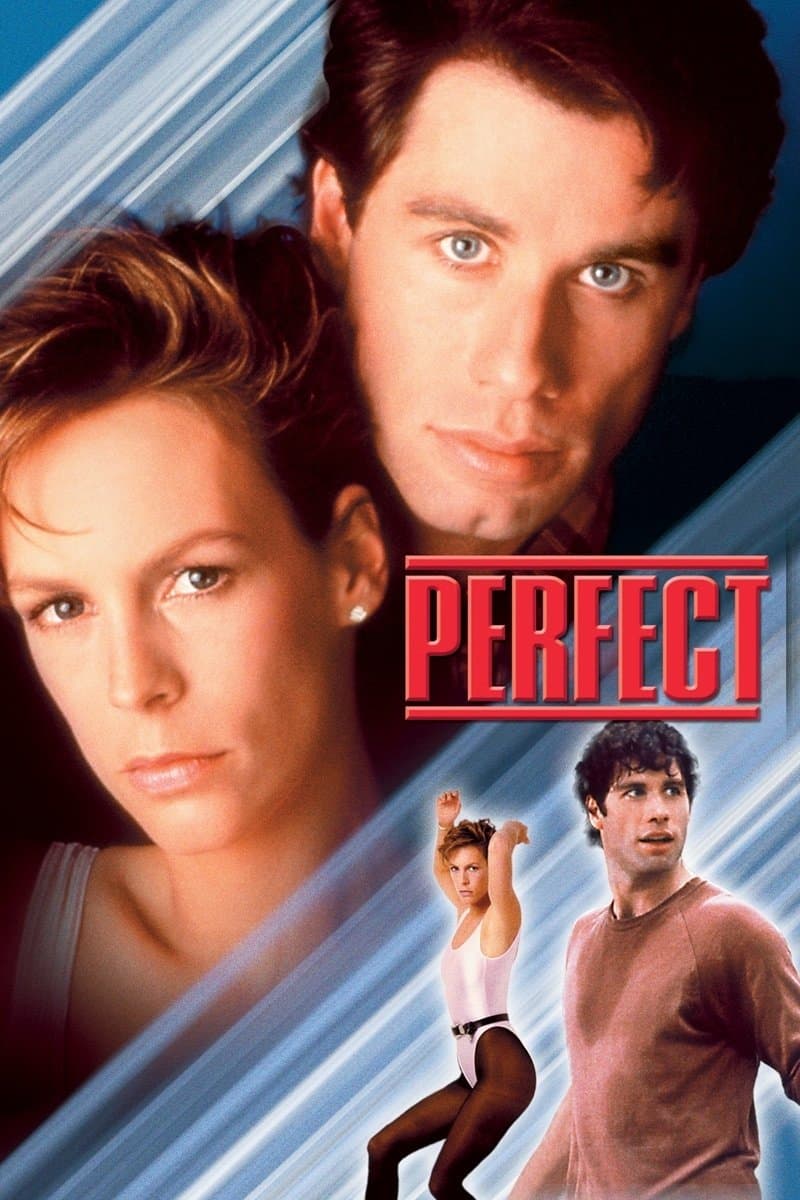 Poster di Perfect