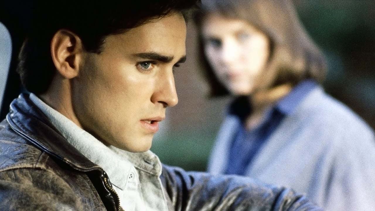 Pericolosamente vicini - immagine