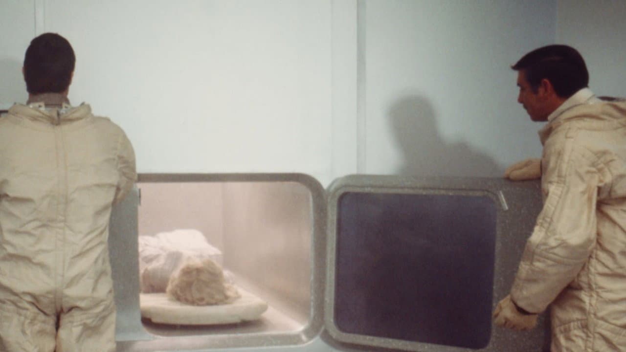 Live Again, Die Again - immagine