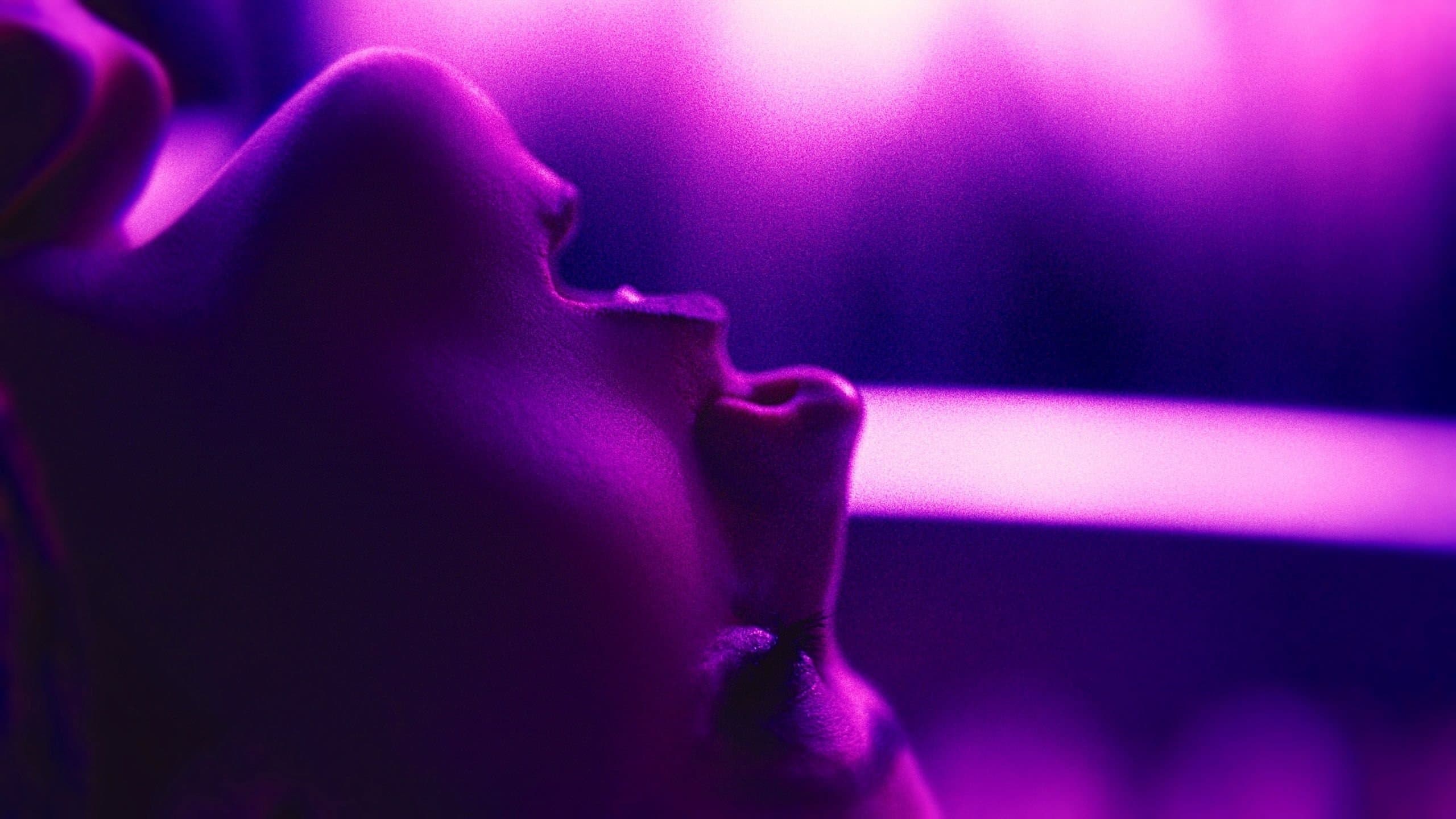Touch Me - immagine