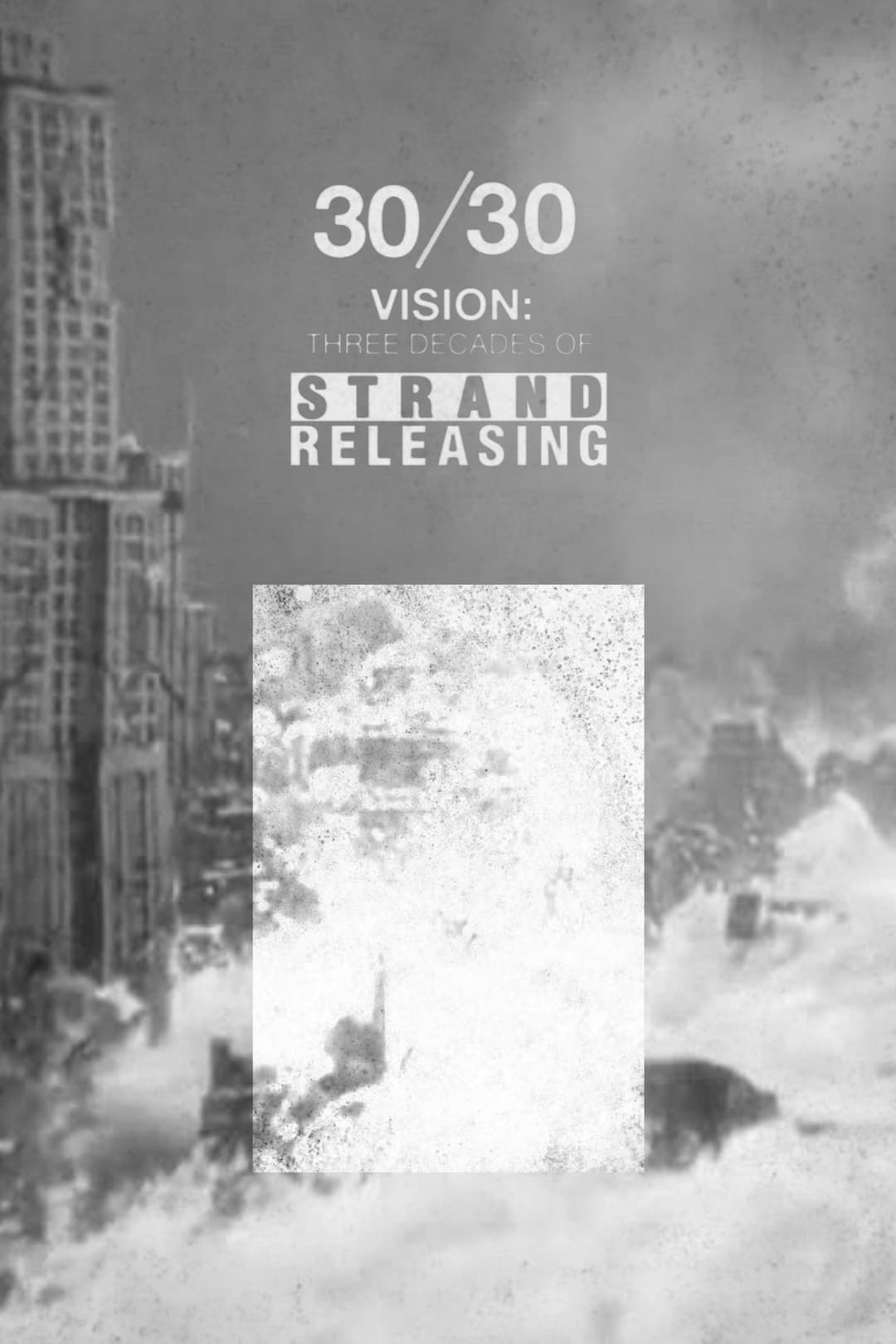 Poster di 30/30 Vision: Three Decades of Strand Releasing