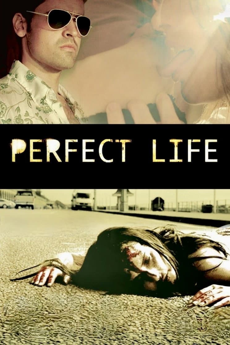 Poster di Perfect Life