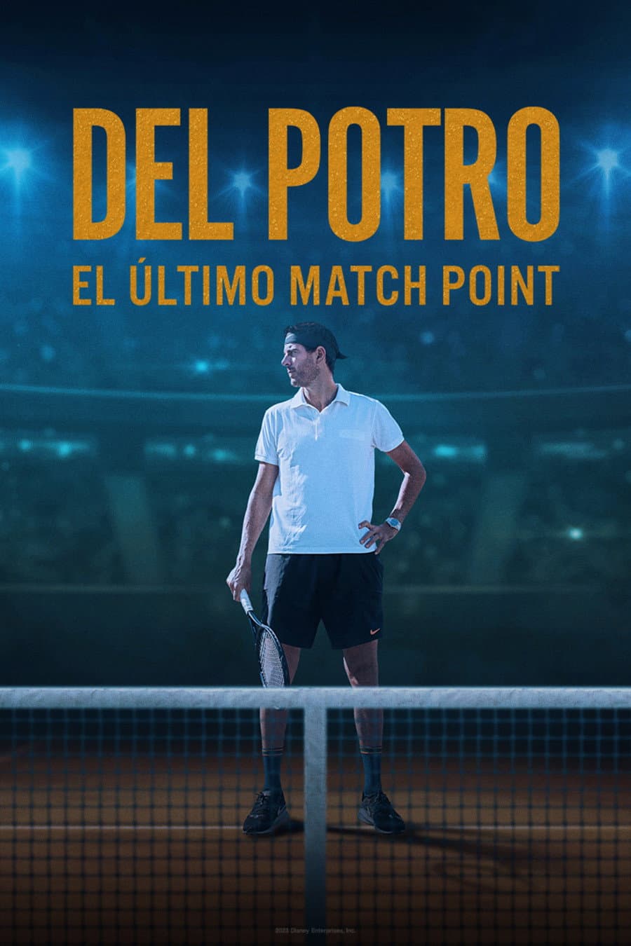 Poster di Del Potro, el último match point