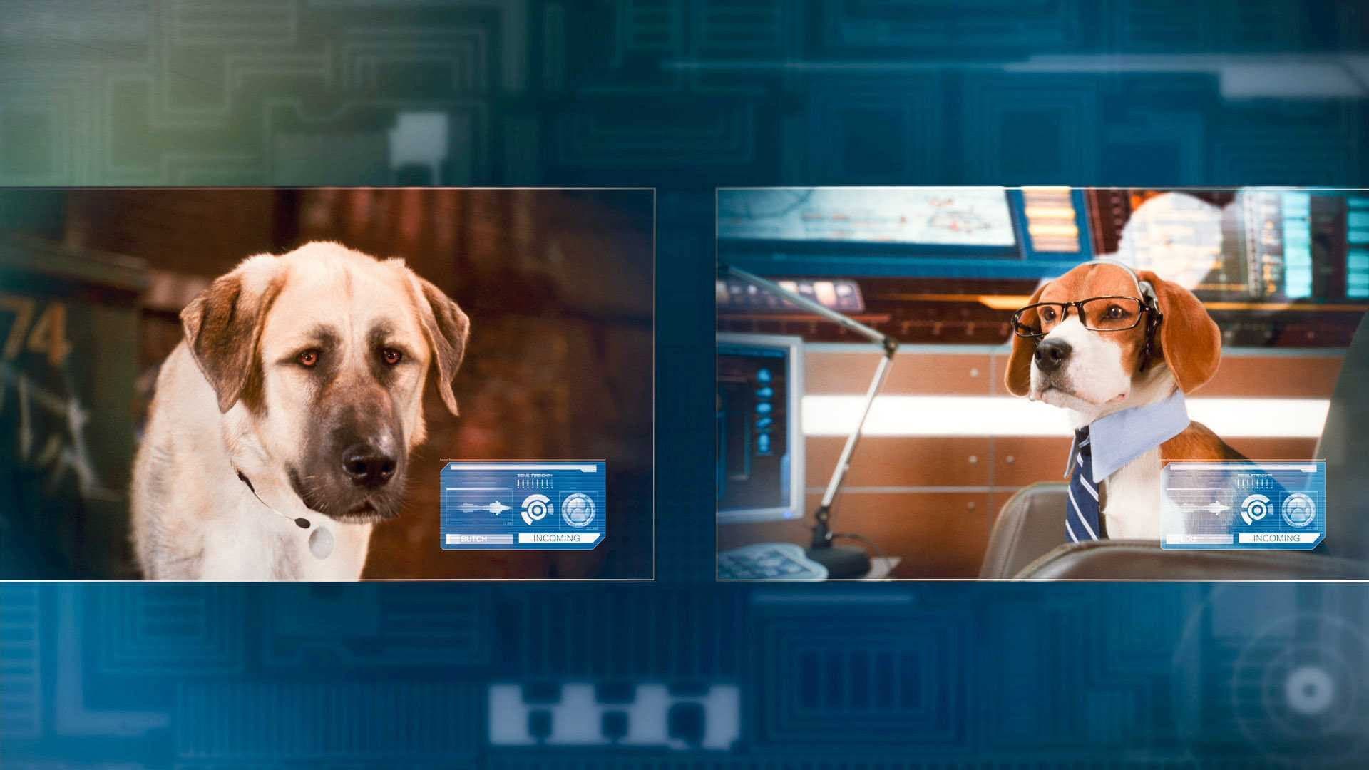 Cani e gatti - La vendetta di Kitty - immagine