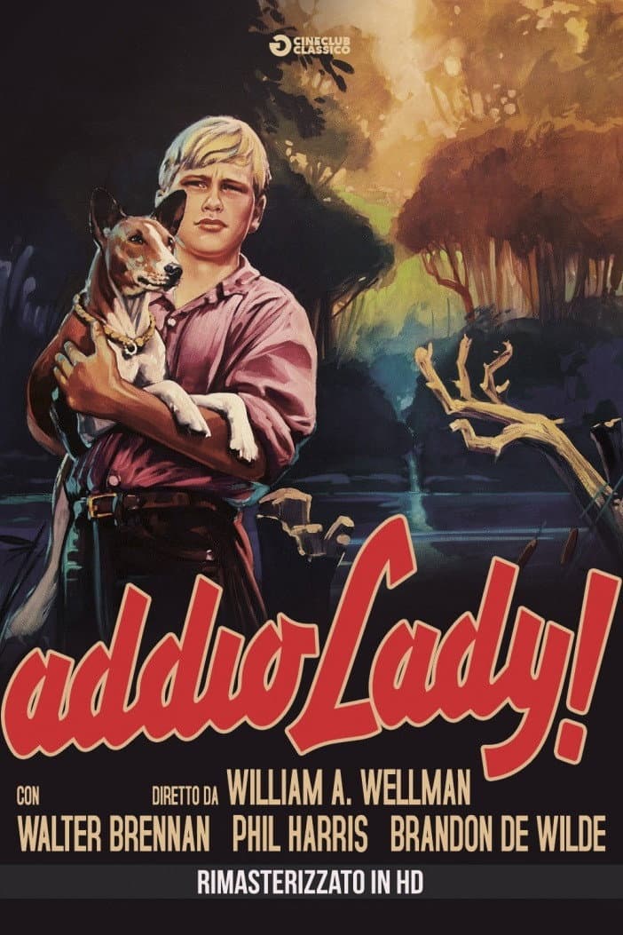 Poster di Addio Lady!