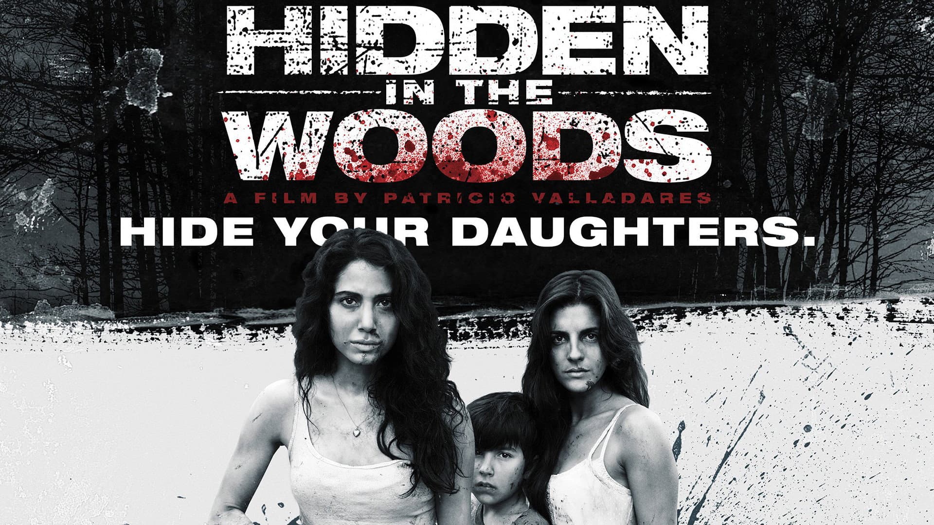 Hidden in the Woods - immagine