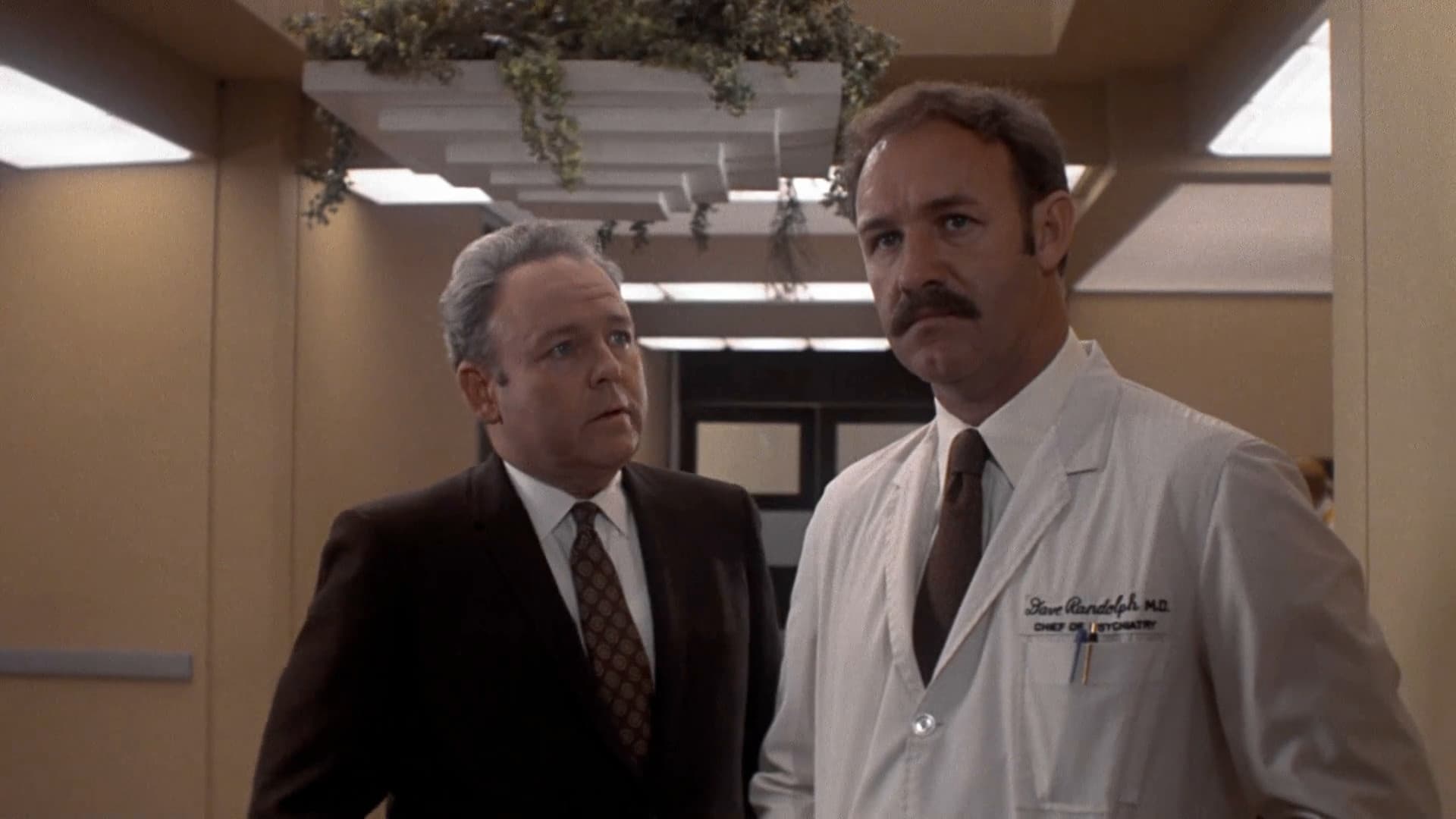 Doctors' Wives - immagine