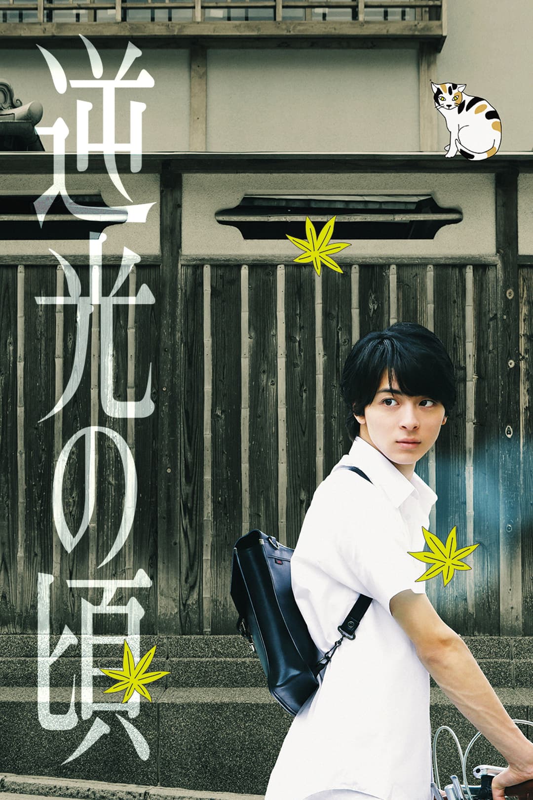 Poster di 逆光の頃