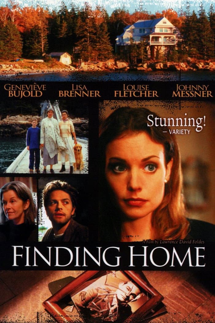 Poster di Finding Home