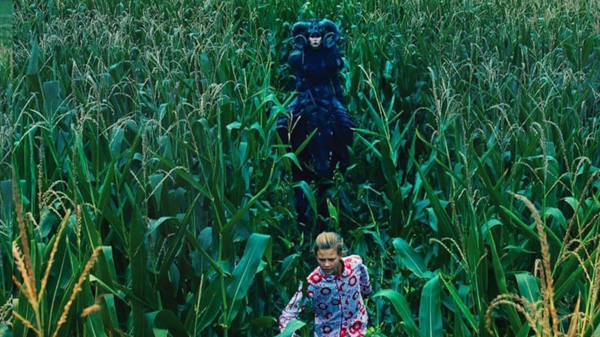 American Fable - immagine