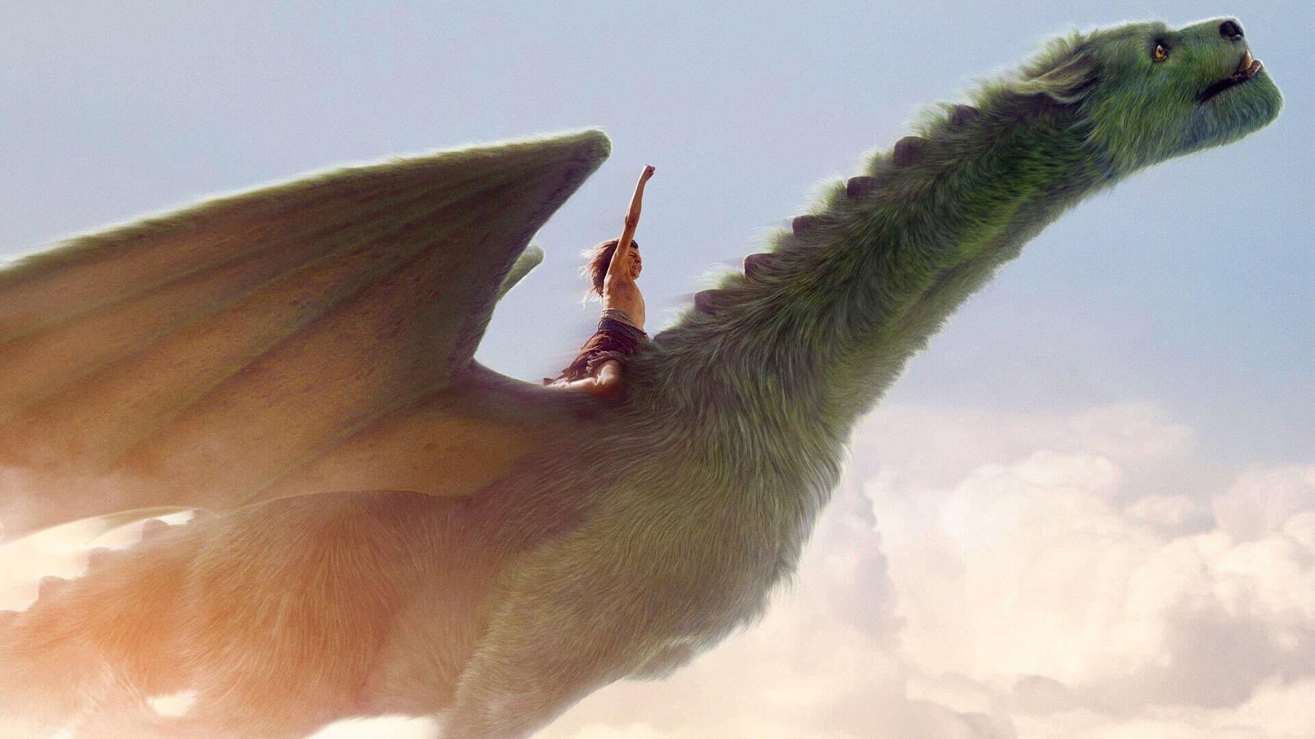 Il drago invisibile - immagine