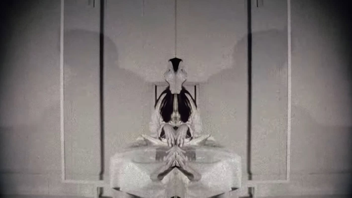 Early Experiments - immagine