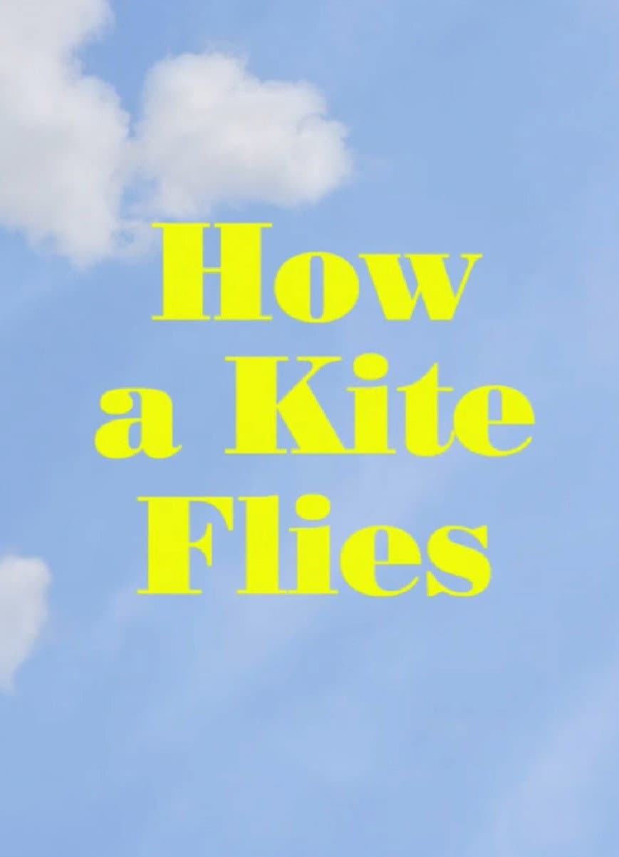 Poster di How a Kite Flies