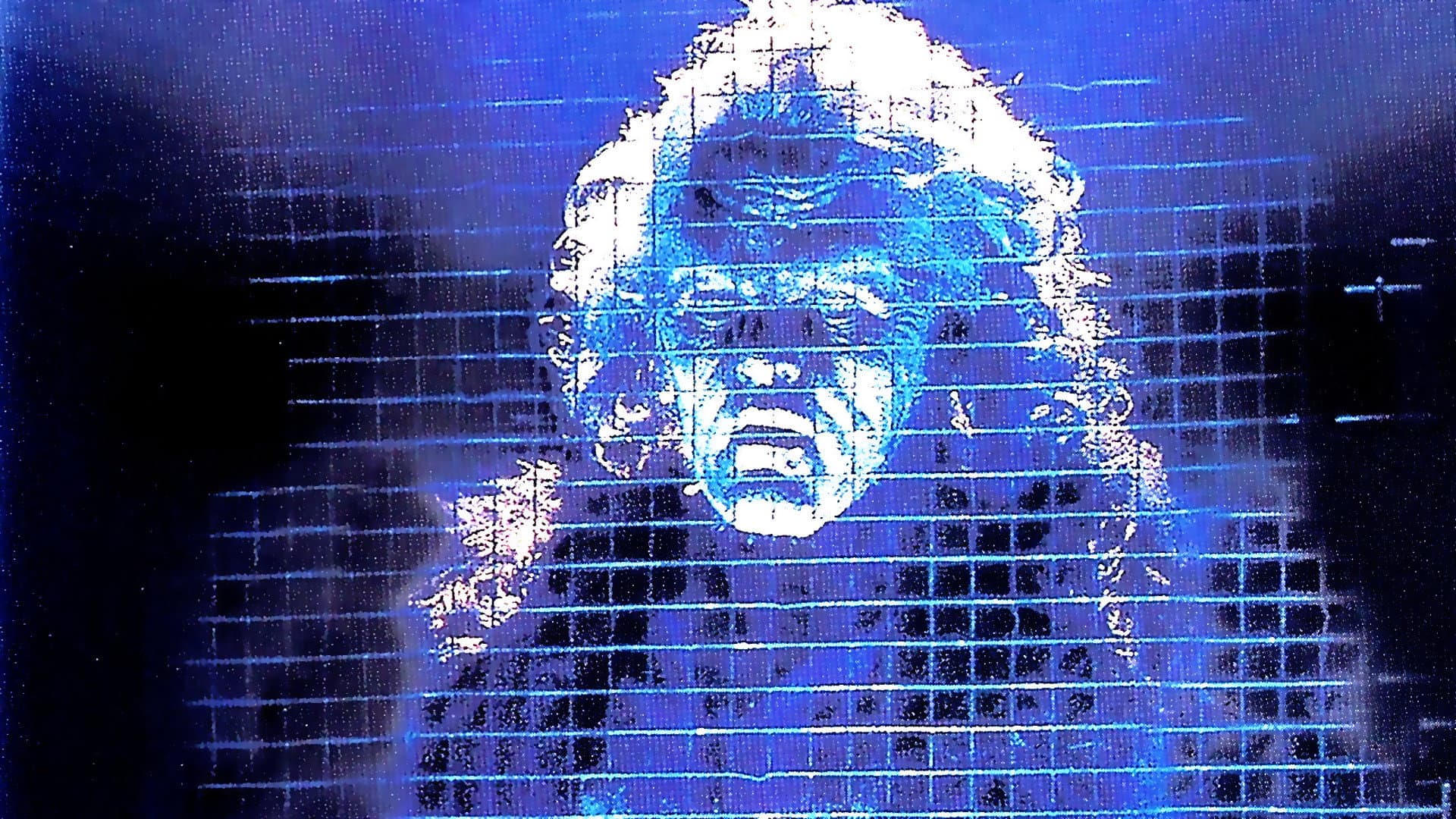 Il mio amico Frankenstein - immagine