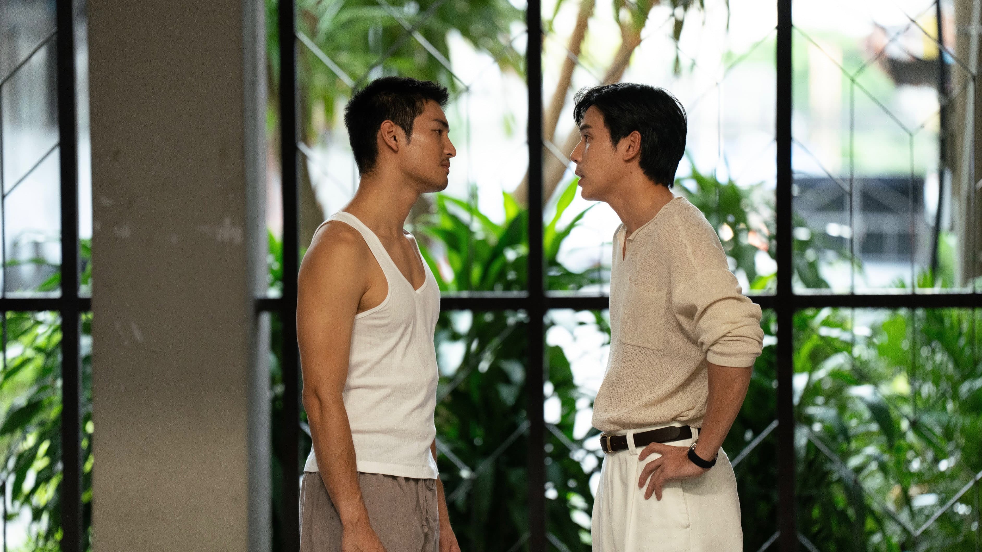 ราคี - immagine