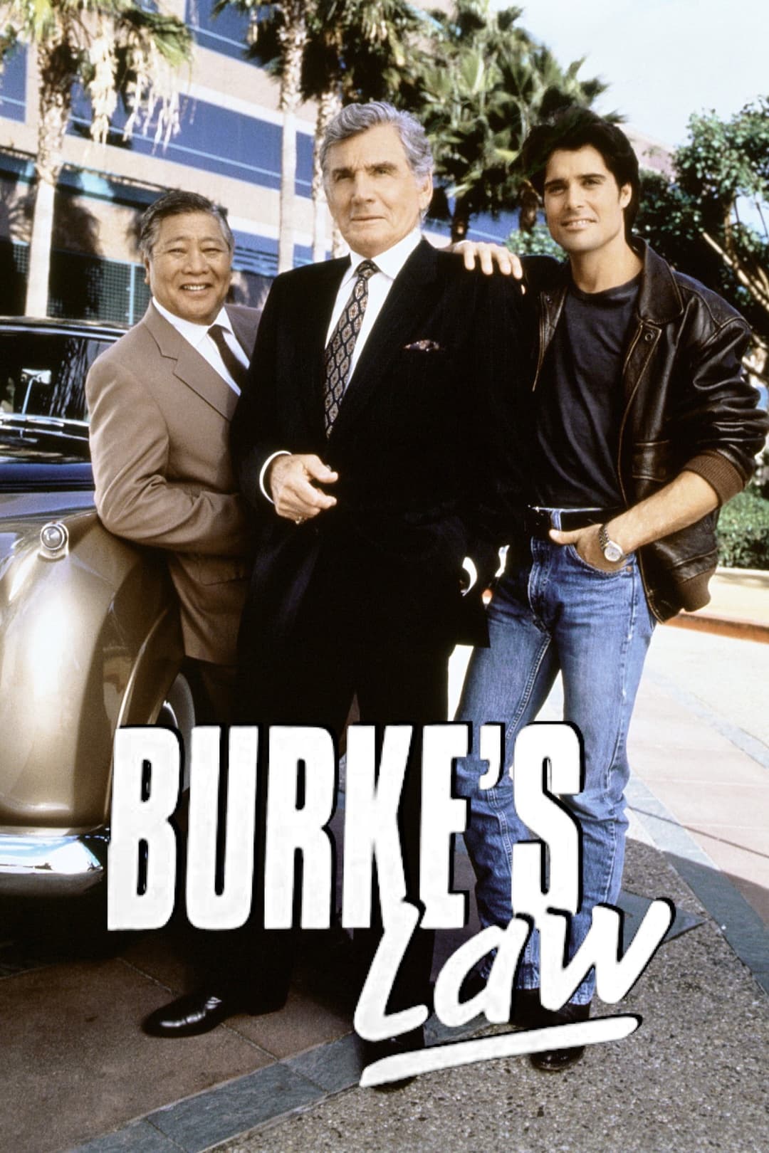 Poster di Burke's Law