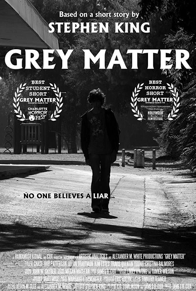 Poster di Grey Matter