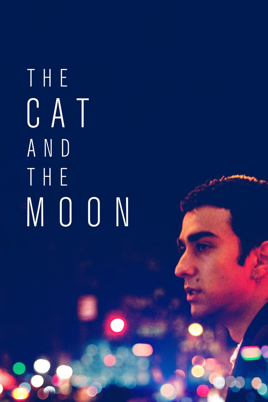 Poster di The Cat and the Moon