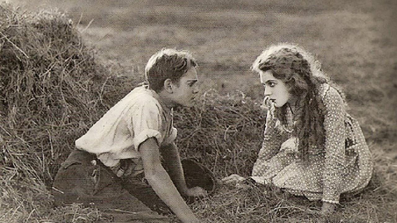 Pollyanna - immagine