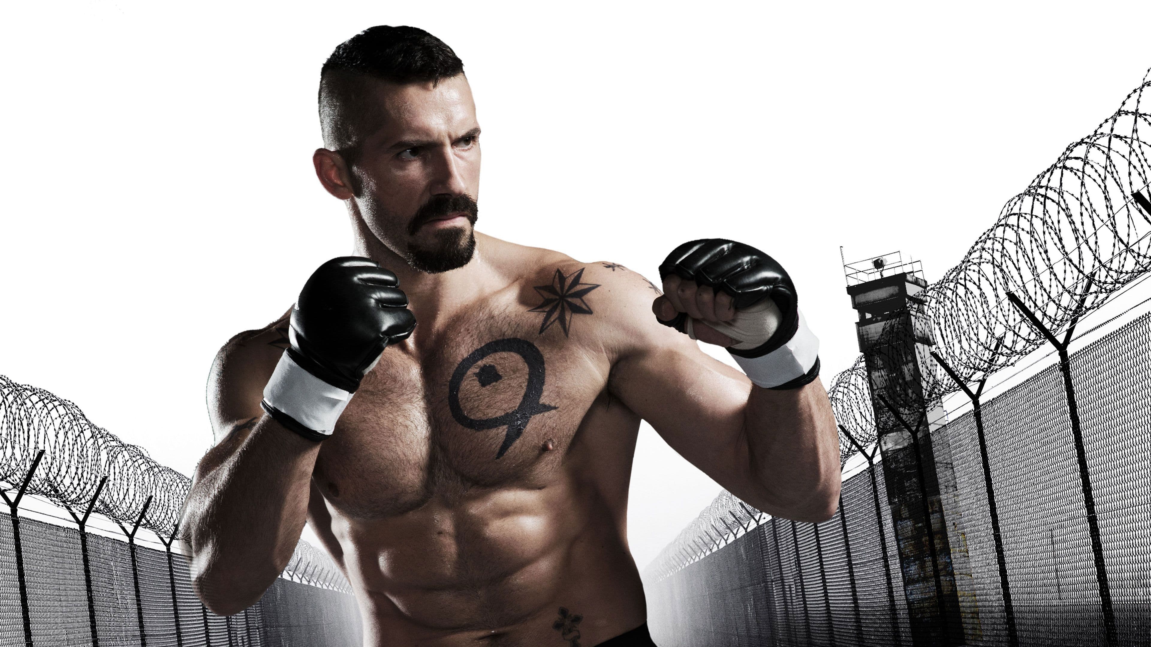 Undisputed 4 - Il ritorno di Boyka - immagine