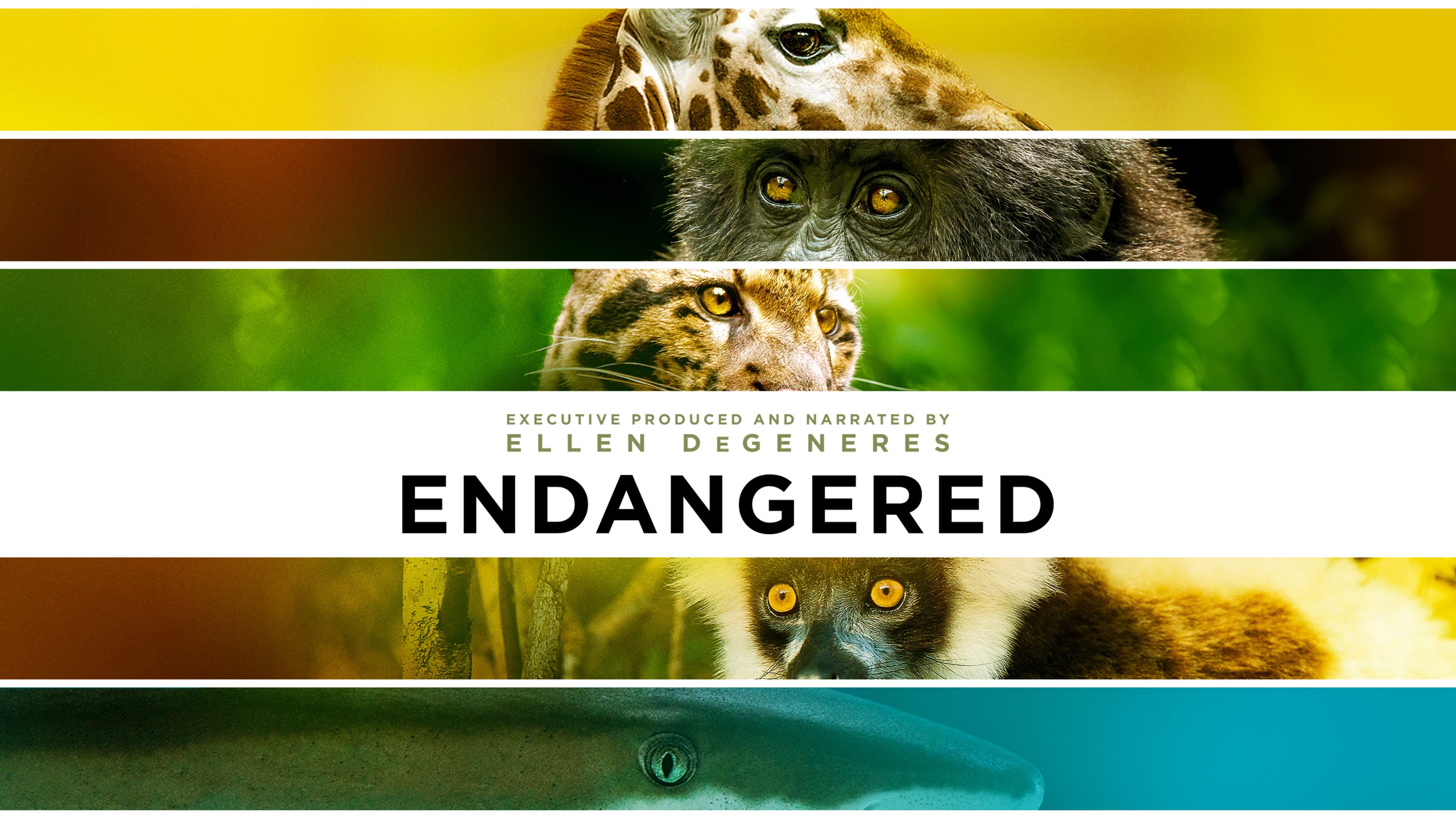 Endangered - immagine