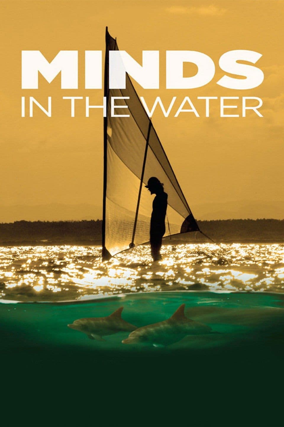 Poster di Minds in the Water