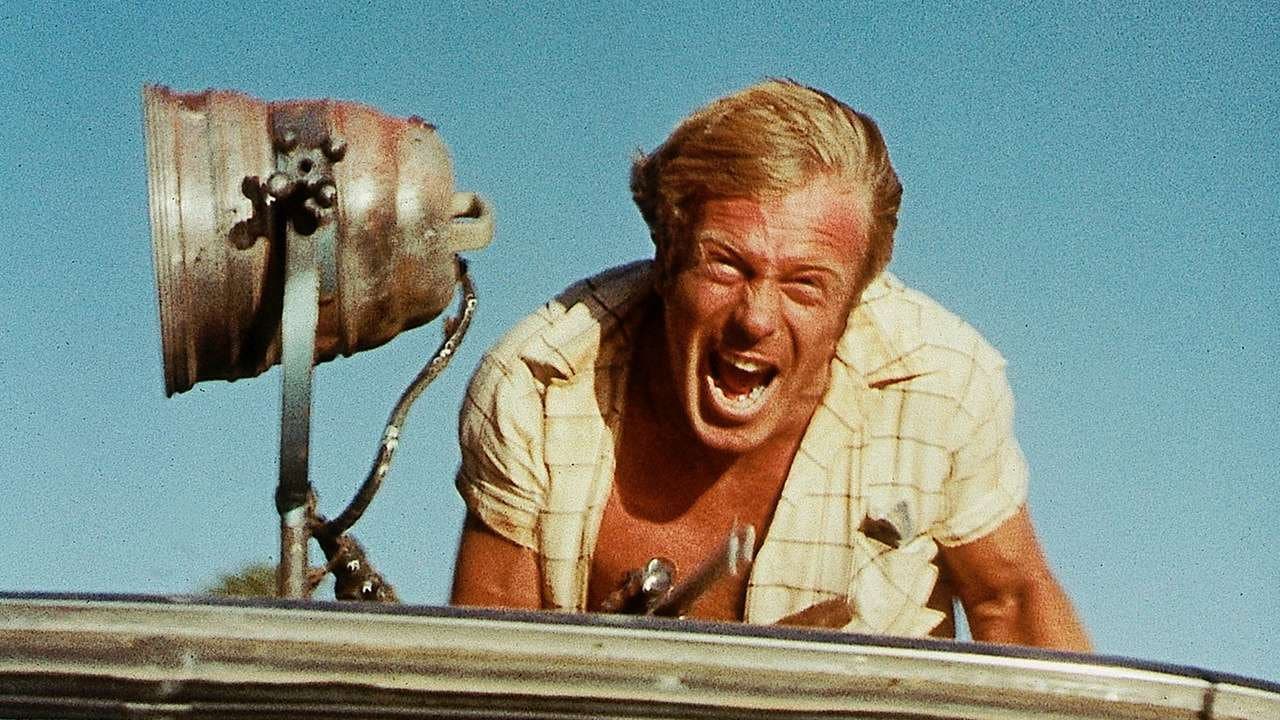 Not Quite Hollywood - immagine