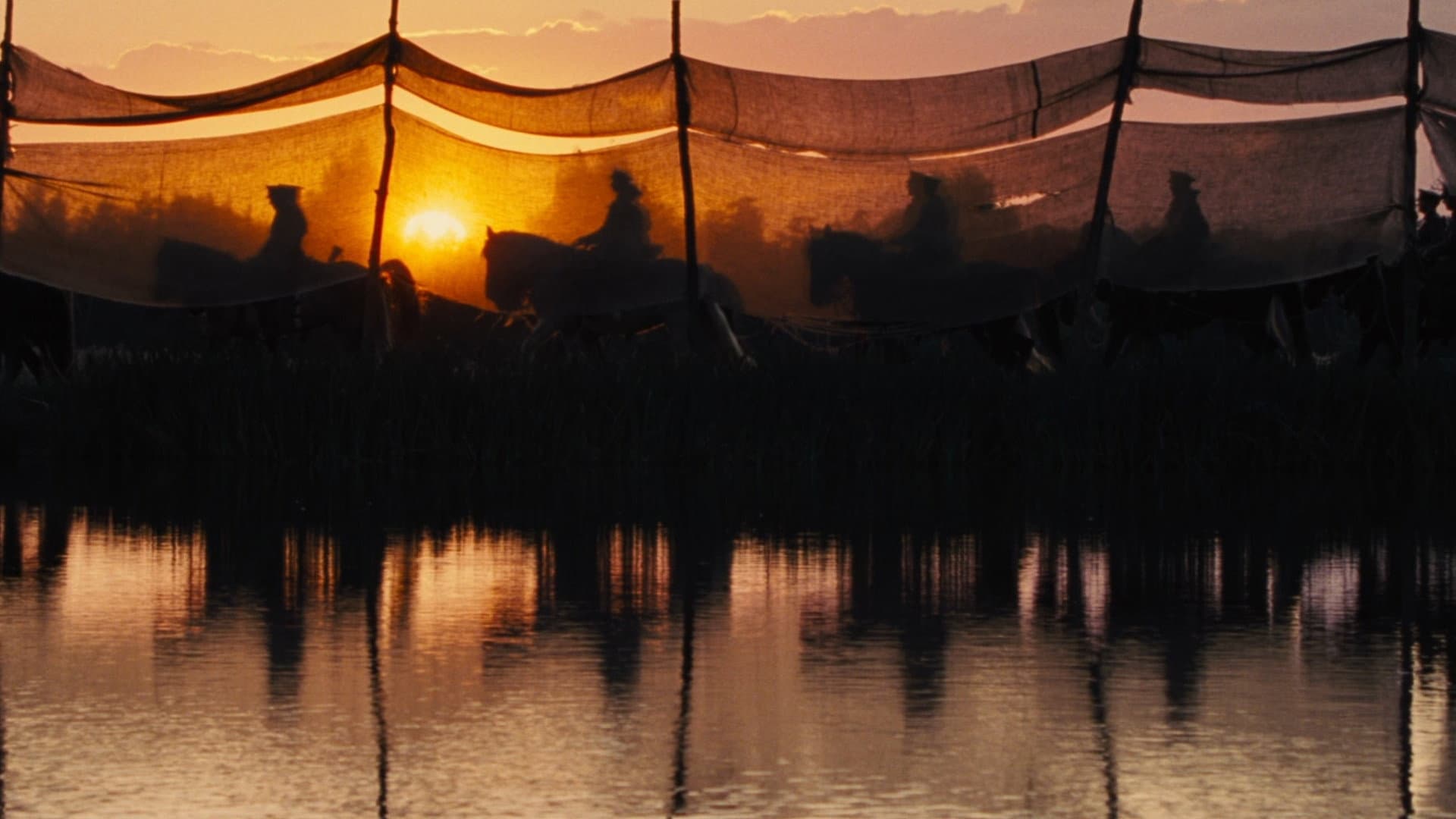 War Horse - immagine