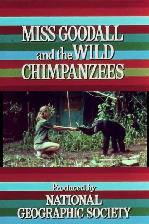 Poster di Miss Goodall and the Wild Chimpanzees