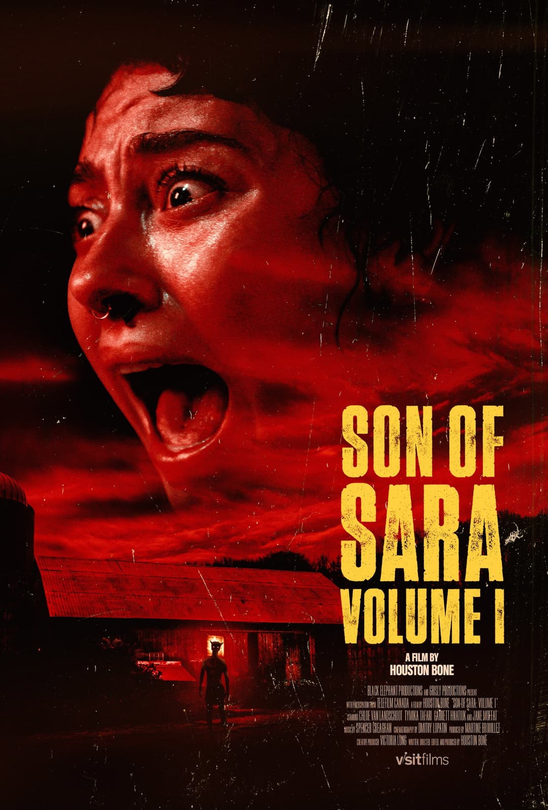 Poster di Son of Sara: Volume 1