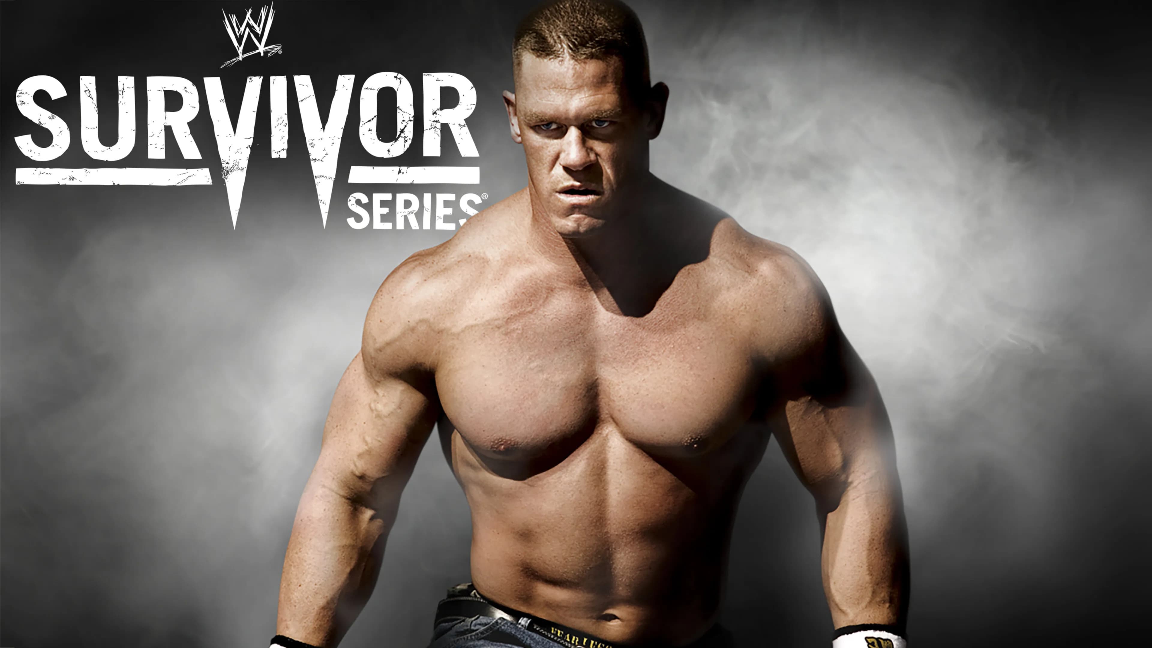 WWE Survivor Series 2008 - immagine