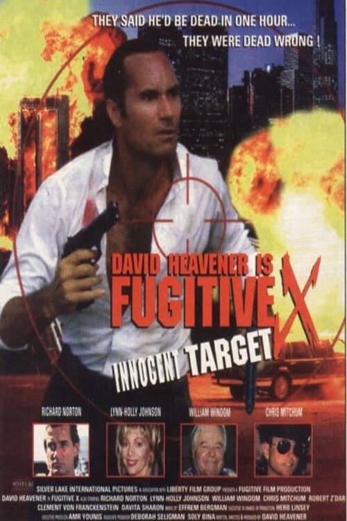 Poster di Fugitive X: Innocent Target