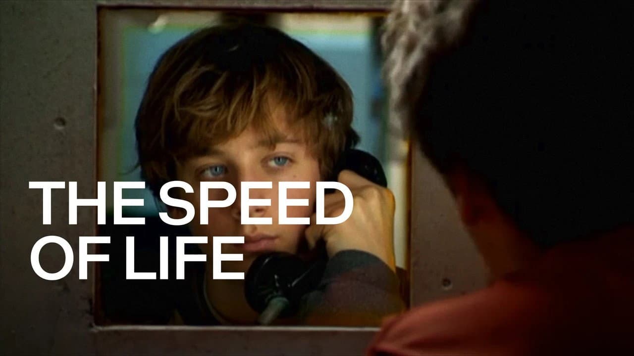 The Speed of Life - immagine