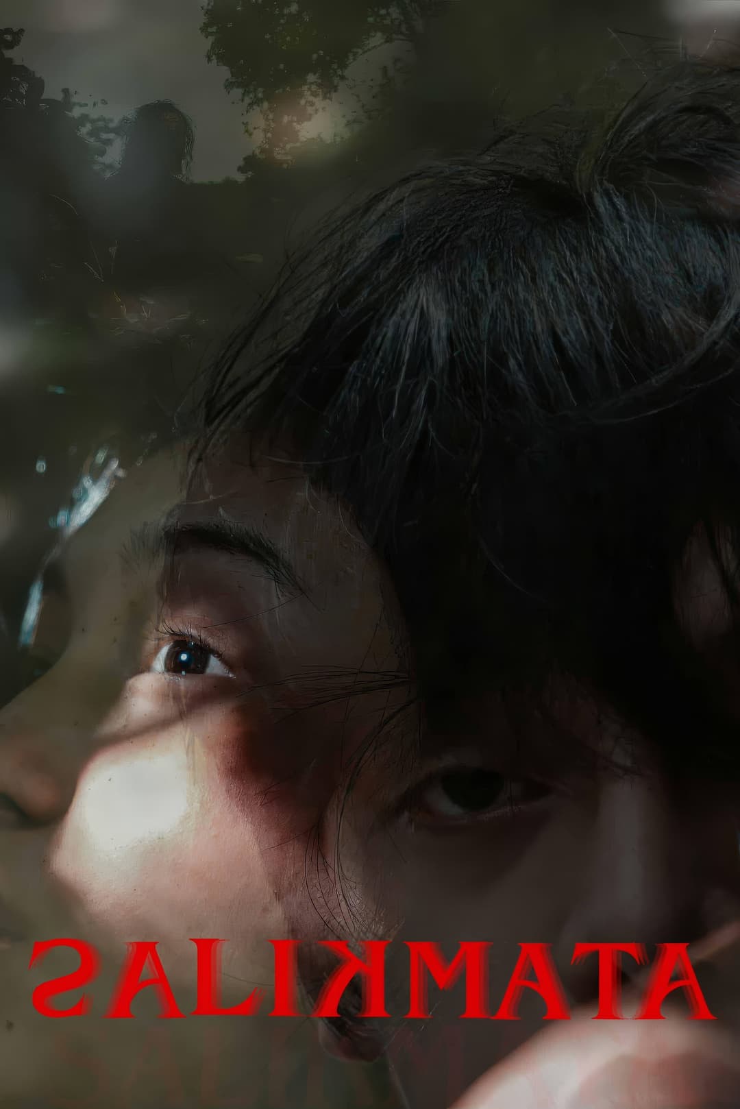 Poster di Salikmata