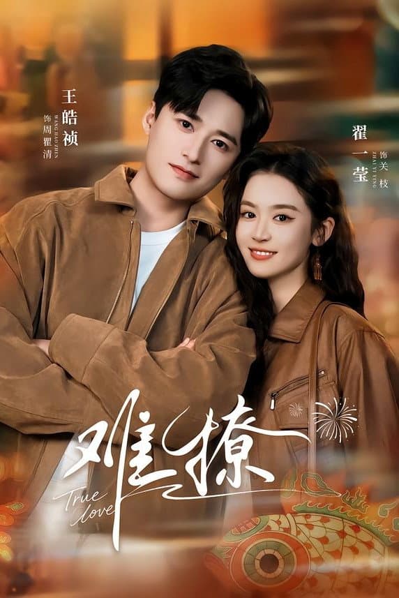 Poster di 难撩