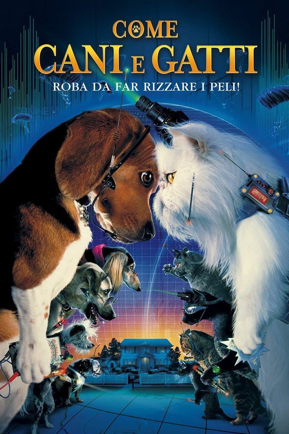 Poster di Come cani e gatti