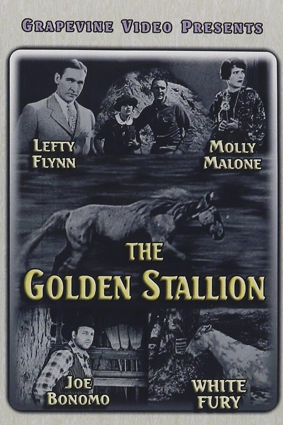 Poster di The Golden Stallion