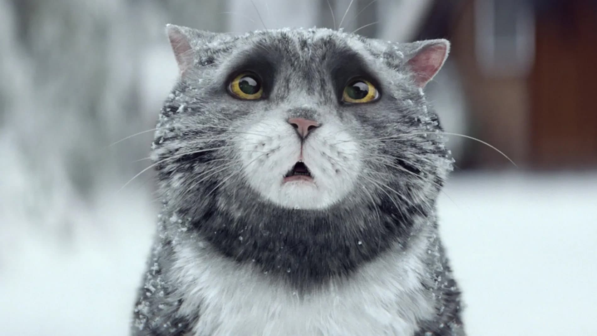Sainsbury's: Mog's Christmas Calamity - immagine