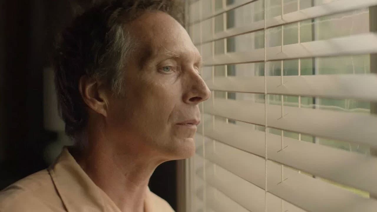 The Neighbor - immagine