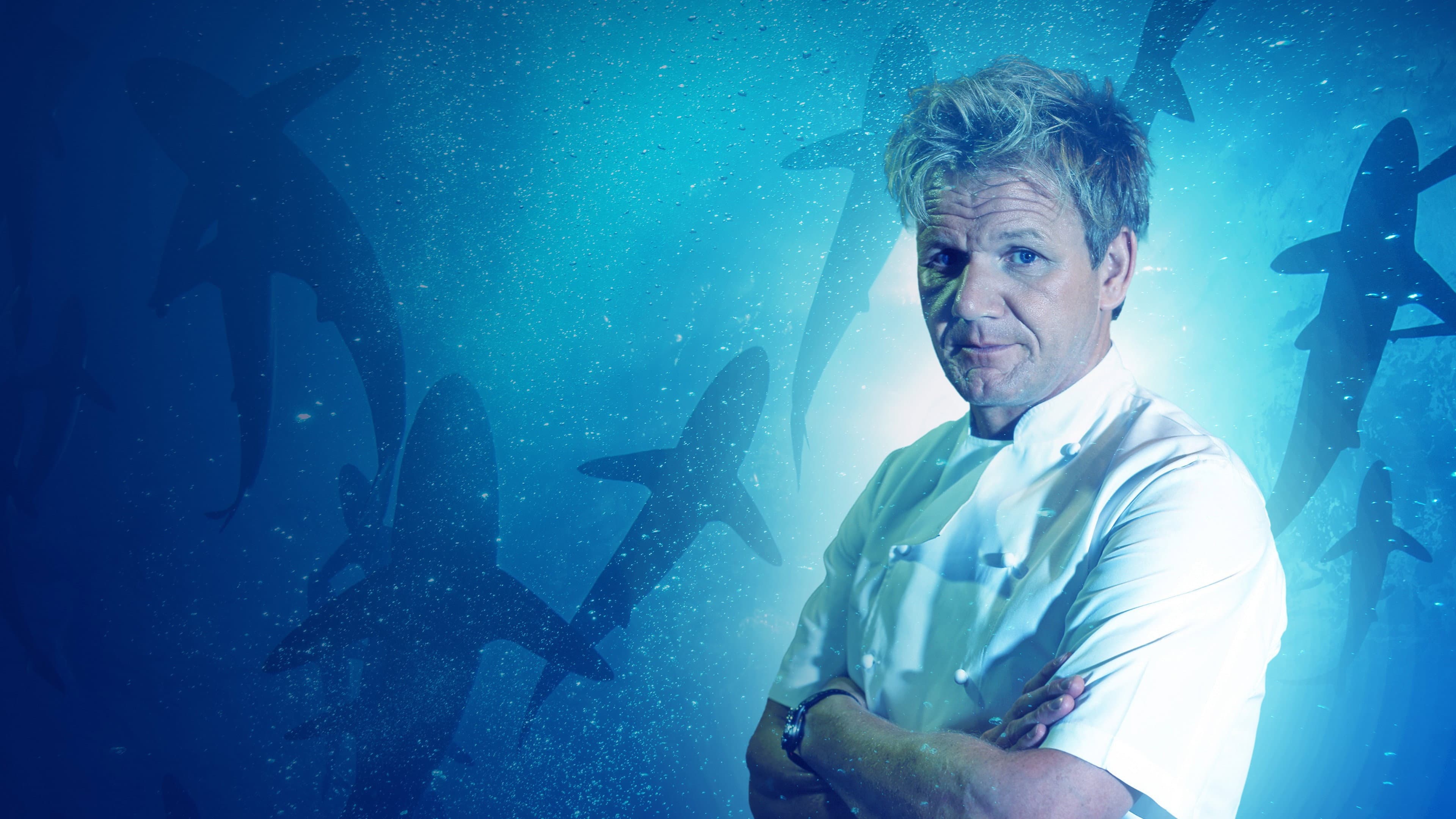 Gordon Ramsay: Shark Bait - immagine