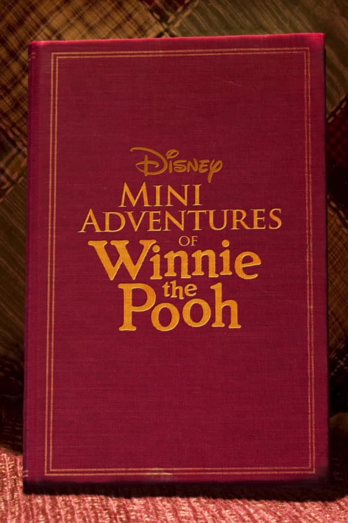 Poster di Mini Adventures of Winnie the Pooh
