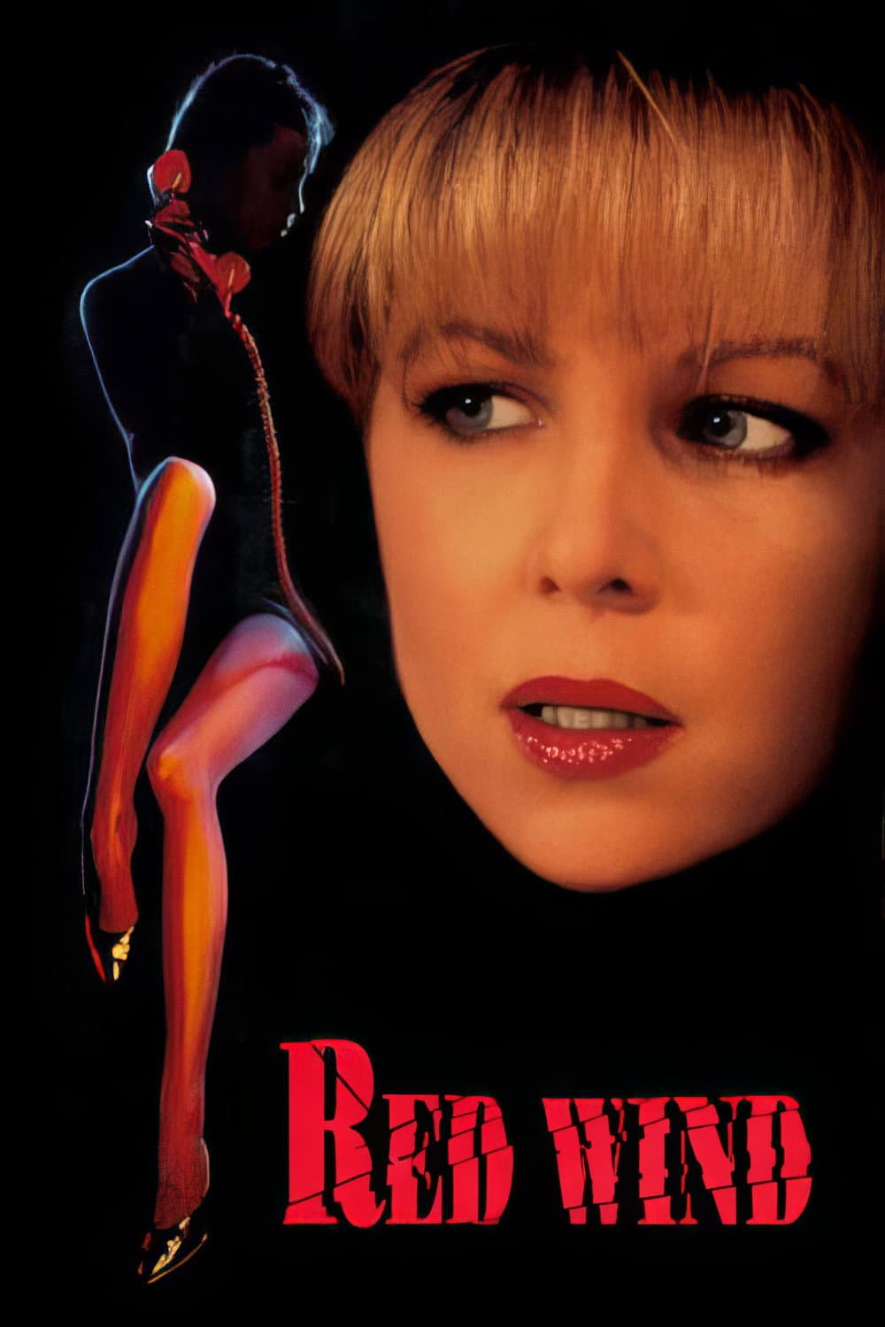 Poster di Red Wind