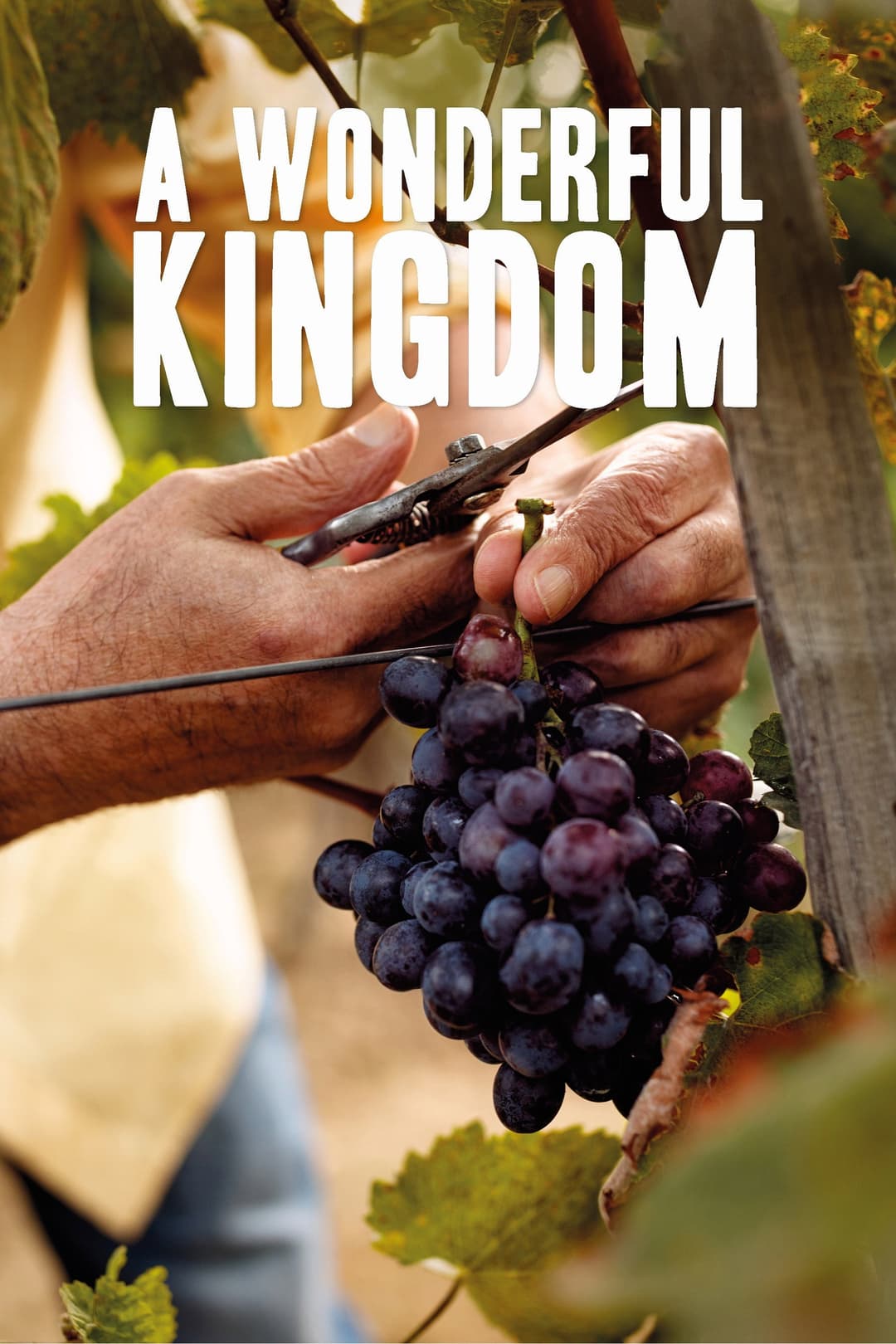 Poster di A Wonderful Kingdom