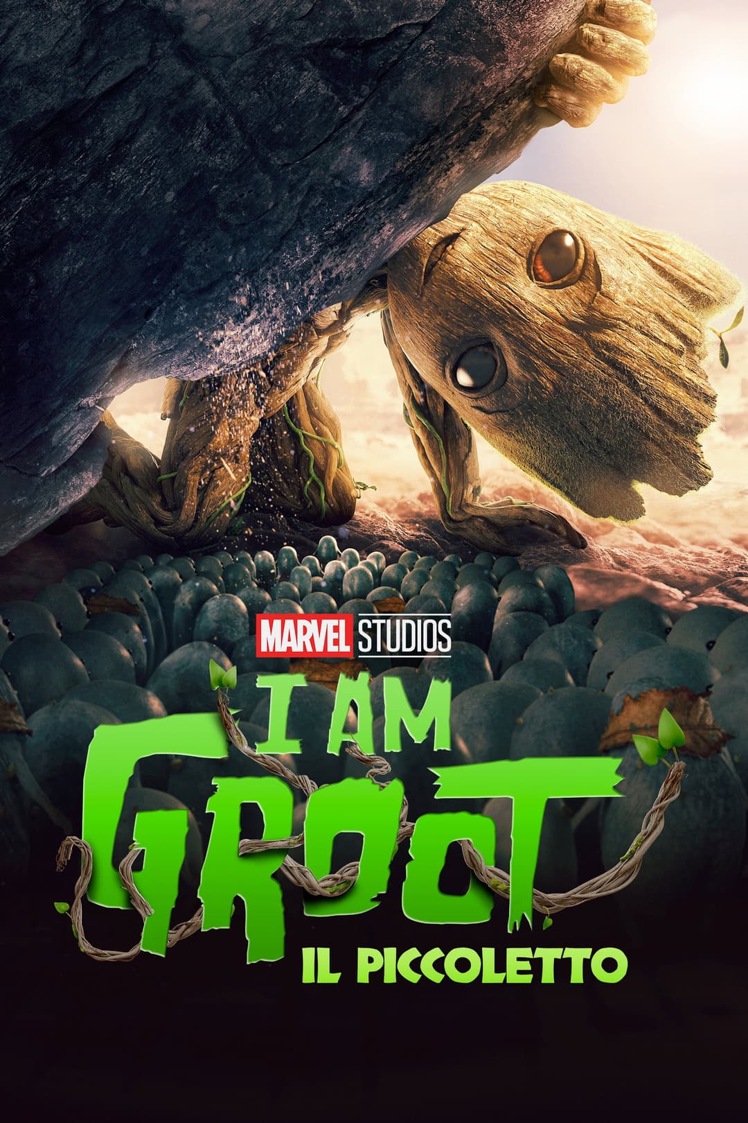 Poster di Il piccoletto