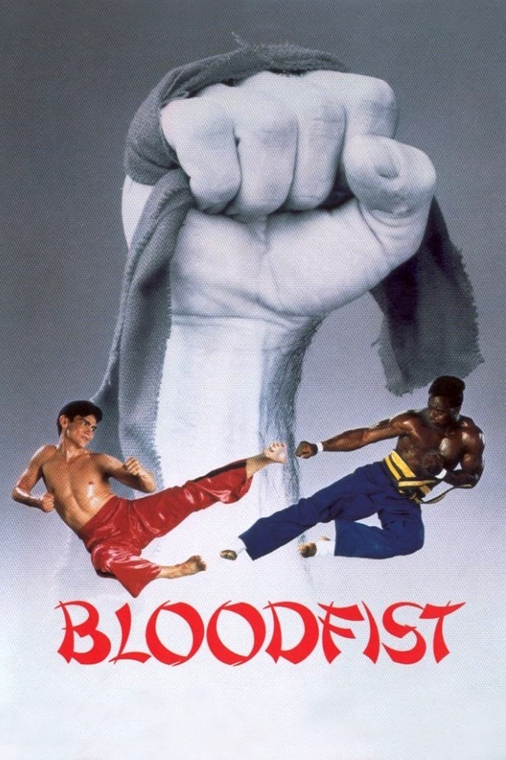 Poster di Bloodfist