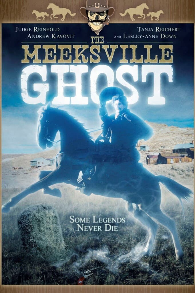 Poster di The Meeksville Ghost