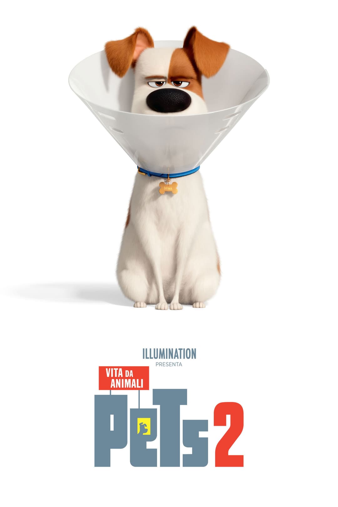 Poster di Pets 2 - Vita da animali