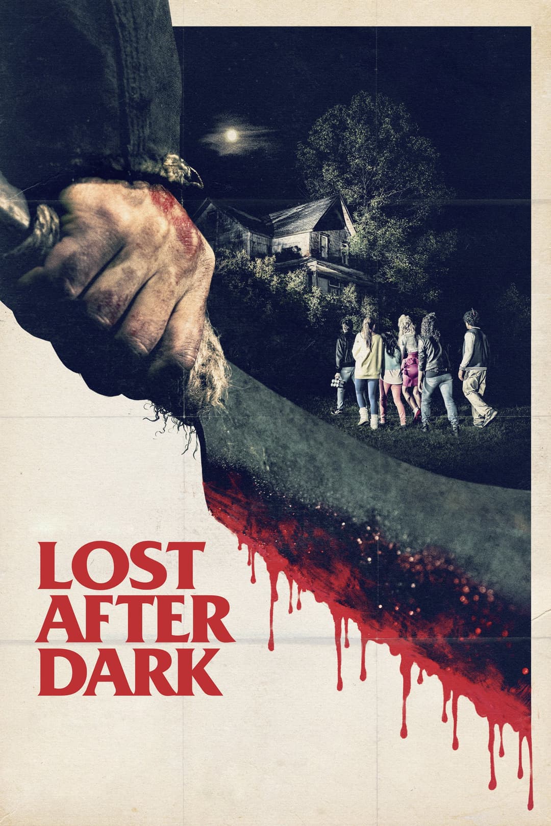 Poster di Lost After Dark