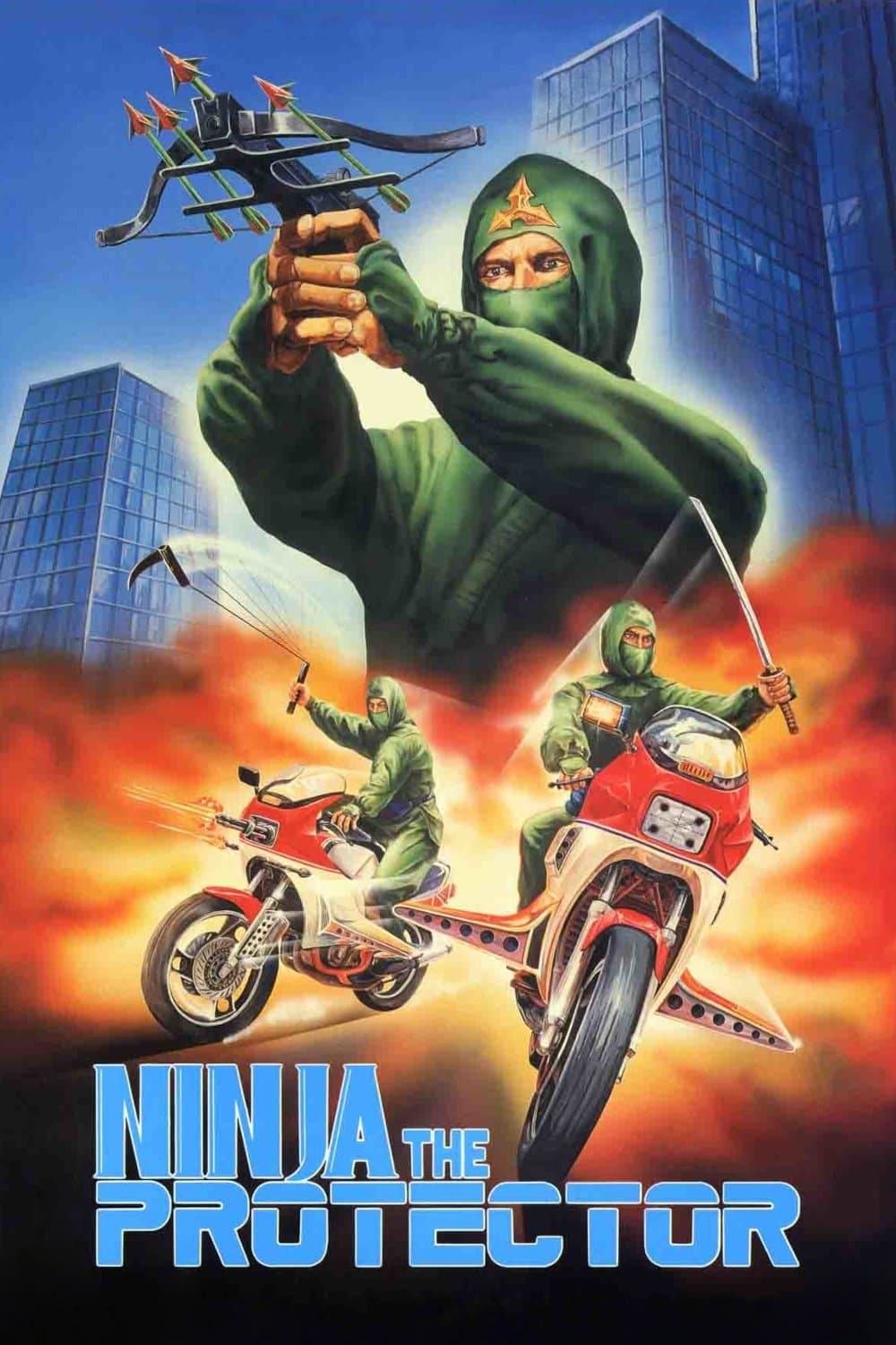 Poster di Ninja the Protector